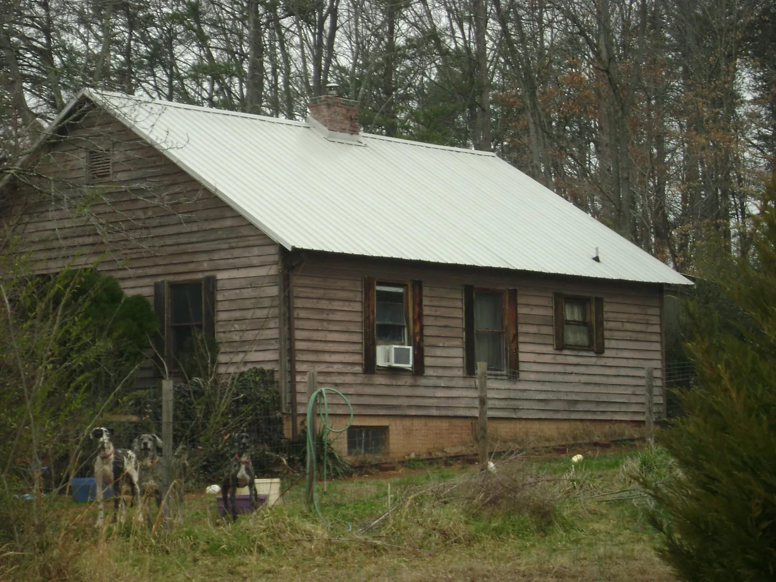 White metal roof on an old wood sided farmhouse, from a Asphalt Shingle Roof Repair job in Ashburn